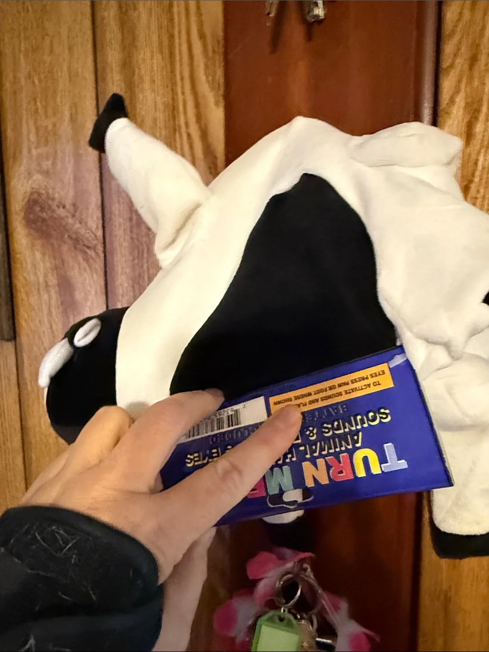 N/A novelty sleep